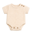 Çıtçıtlı Body